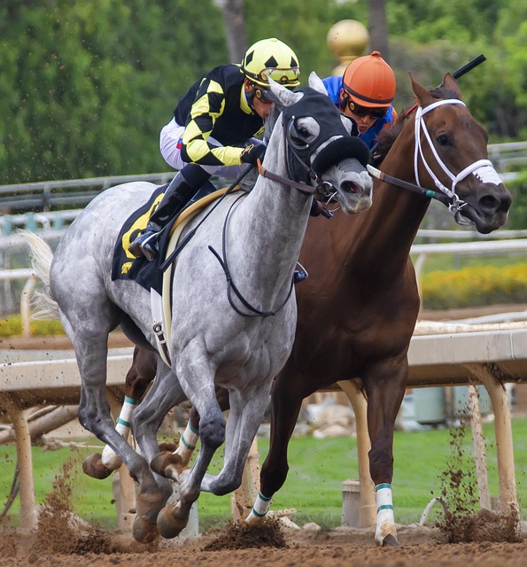 燃起自己的 燃起自己的