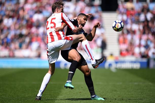 的培养体系 的培养体系