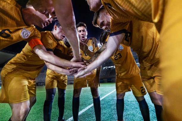 的训练方法 的训练方法